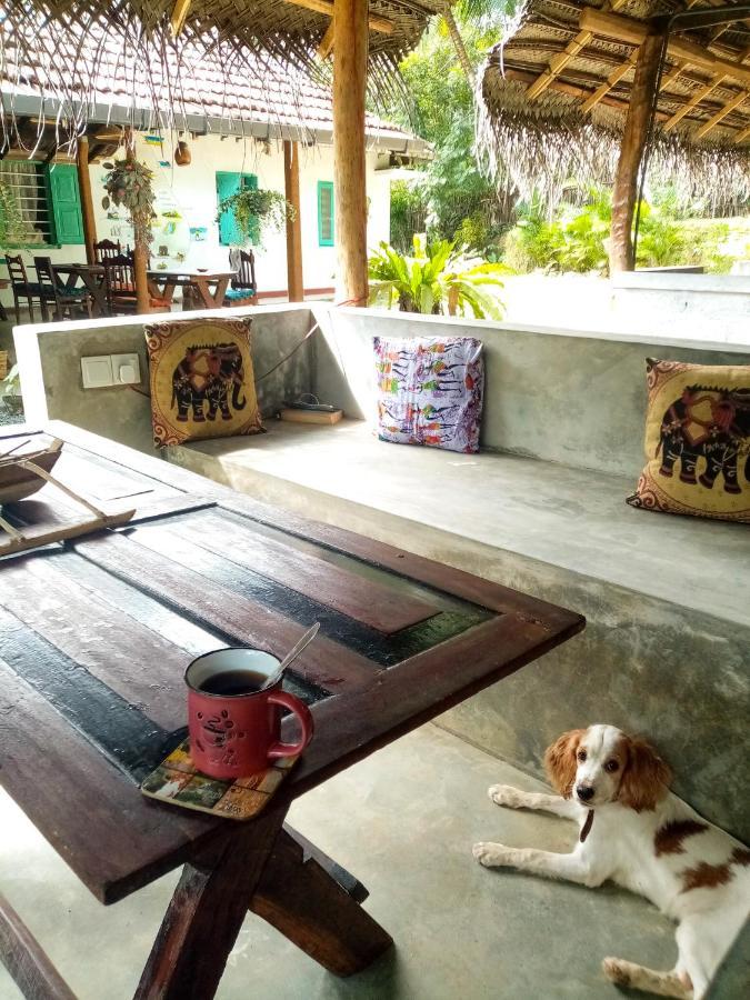 نزل ديكويلاّ تينفي Lazy Monkey Sri Lanka المظهر الخارجي الصورة