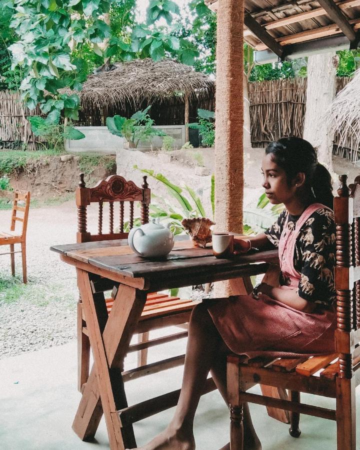 نزل ديكويلاّ تينفي Lazy Monkey Sri Lanka المظهر الخارجي الصورة